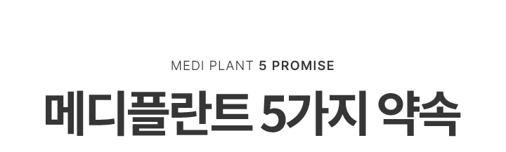 메디플란트 5가지 약속