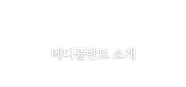 진료철학