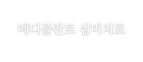 지르코니아