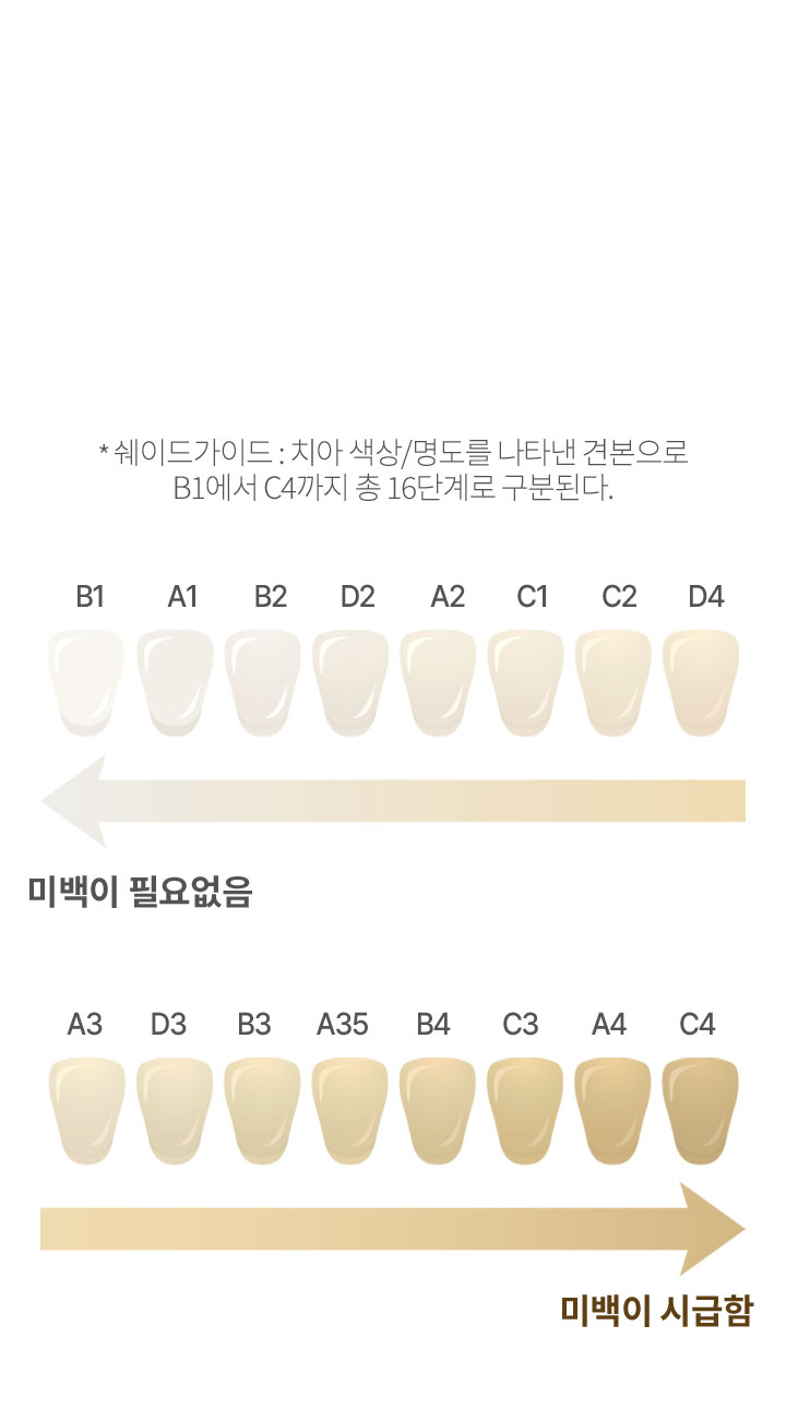 쉐이드가이드에 따른 치아 밝기