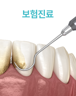 보험진료